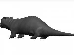 Otter 3D Model