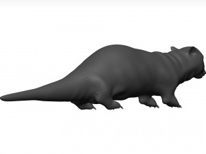Otter Model 3D