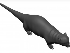 Otter Model 3D