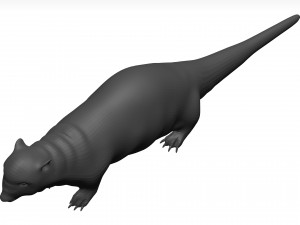 Otter Model 3D