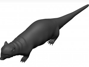 Otter Model 3D