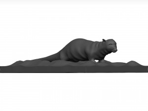 Otter Model 3D