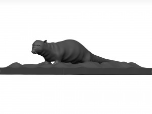Otter Model 3D