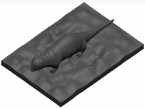 Otter Model 3D