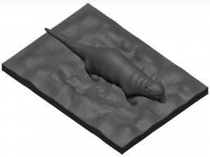 Otter 3D Model