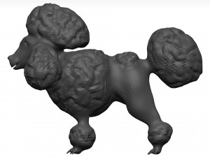 Poodle 3D 模型