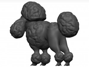 Poodle 3D 模型