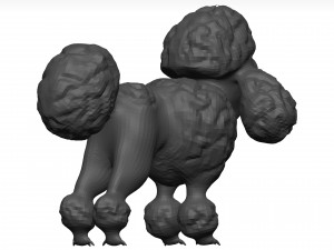 Poodle 3D 模型