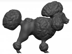 Poodle Modelo 3D