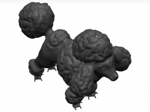 Poodle 3D 模型