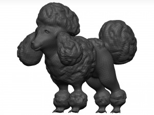 Poodle 3D 模型