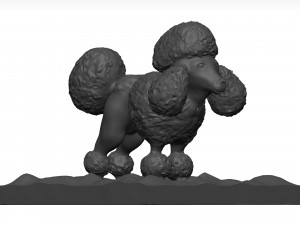 Poodle 3D 模型