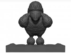 Poodle Modelo 3D