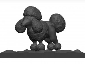 Poodle 3D 模型