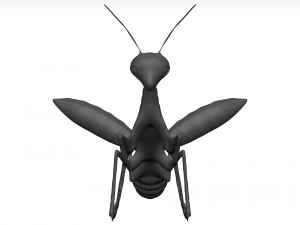 Praying mantis Model 3D