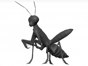 Praying mantis Model 3D