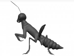 Praying mantis Model 3D