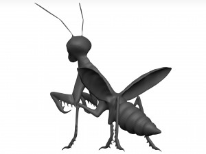 Praying mantis Model 3D