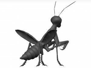 Praying mantis Model 3D