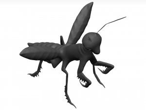 Praying mantis Model 3D