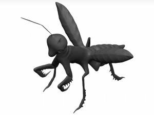 Praying mantis Model 3D