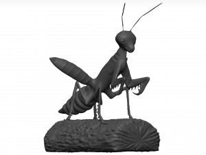 Praying mantis Model 3D
