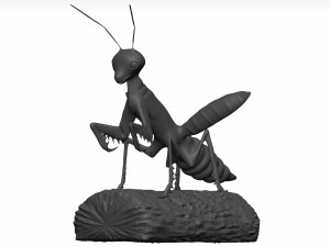 Praying mantis Model 3D