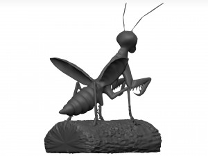 Praying mantis Model 3D