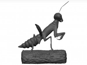Praying mantis Model 3D