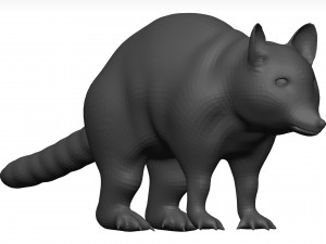 Raccoon 3Dモデル