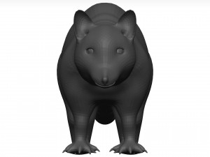 Raccoon 3D Модель