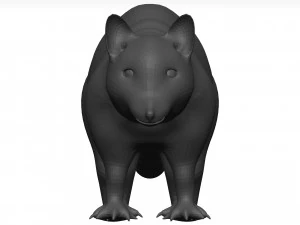 Raccoon 3D Model