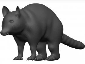 Raccoon 3D Model