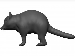 Raccoon 3D Модель