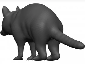 Raccoon 3D Model