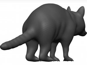 Raccoon 3D Модель