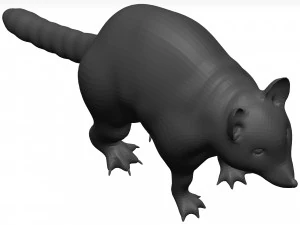 Raccoon 3D Model