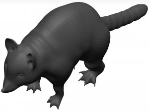 Raccoon 3D Model