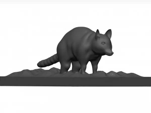 Raccoon 3D Model