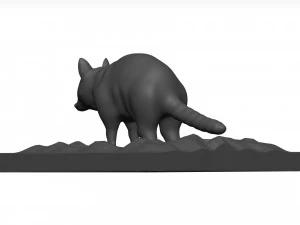 Raccoon 3D Model