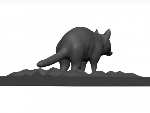 Raccoon 3D Model