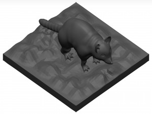 Raccoon 3D Модель