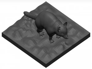 Raccoon 3D Model