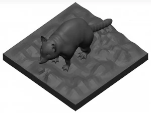 Raccoon 3D Model