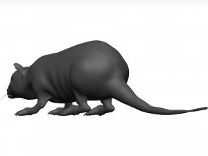 Rat 3D Model