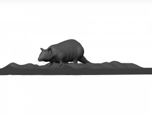 Rat 3D Model