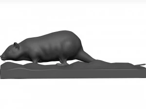 Rat 3D Model