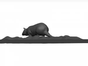 Rat 3D Model