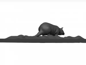 Rat 3D Model