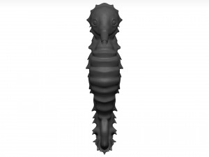 Sea Horse 3D Model